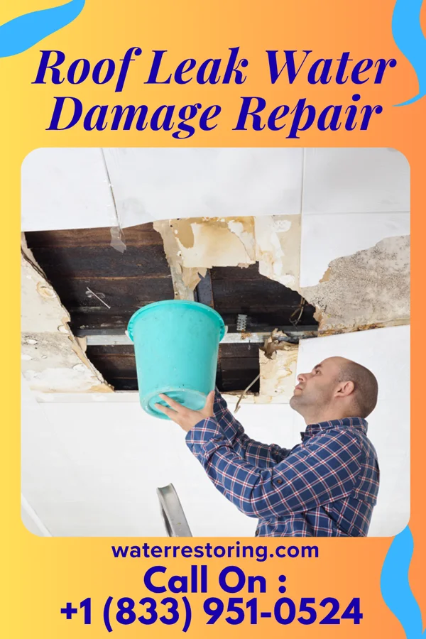 Roof Leak Water Damage Repair in Cheney, NE